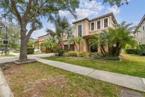 20347 CHESTNUT GROVE DRIVE, TAMPA, FL 33647 - MLS#MFRTB8377524