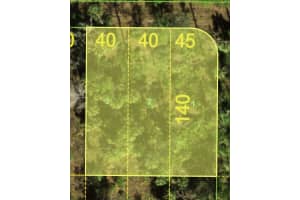 0 SR 31, PUNTA GORDA, FL 33982 - MLS#MFRTB8377535