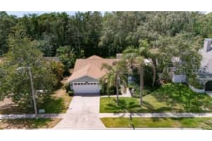 4765 LAKE VALENCIA BOULEVARD, PALM HARBOR, FL 34684 - MLS#MFRTB8377546