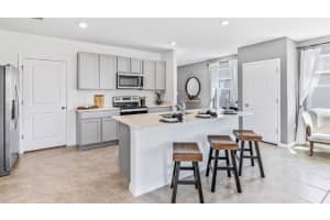 33091 OSPREY PEAK WAY, SAN ANTONIO, FL 33576 Sold 07/09/25