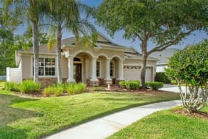 26947 PALMETTO BEND DRIVE, WESLEY CHAPEL, FL 33544 Sold 06/04/25