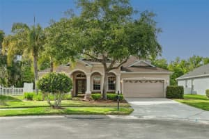 26947 PALMETTO BEND DRIVE, WESLEY CHAPEL, FL 33544 Sold 06/04/25