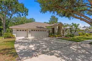 15819 DAWSON RIDGE DRIVE, TAMPA, FL 33647 Sold 05/30/25