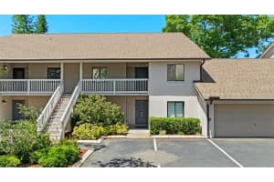 3709 Greenery Ct #209, TAMPA
