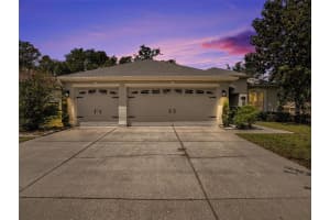 11106 BRIDGECREEK DRIVE, RIVERVIEW, FL 33569 Sold 06/03/25