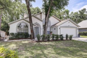 6410 BEAVER WAY, TAMPA, FL 33625 Sold 08/08/25