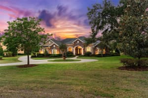 10614 Low Oak Terrace, THONOTOSASSA