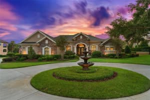 10614 LOW OAK TERRACE, THONOTOSASSA, FL 33592 Sold 09/19/25