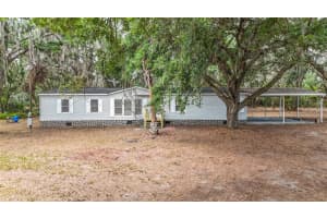 2811 Pritcher Manor Ct, LITHIA