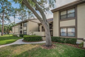 209 WOODLAKE WYNDE, OLDSMAR, FL 34677 Sold 05/30/25