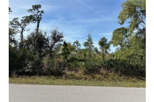 8250 DITTMAR STREET, PORT CHARLOTTE, FL 33981 - MLS#MFRTB8377782