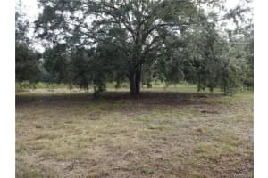 5795 POWER TERRACE, HOMOSASSA, FL 34446 Sold 07/08/25