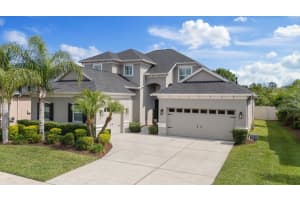 3142 STONEGATE FALLS DRIVE, LAND O LAKES, FL 34638 Sold 06/16/25