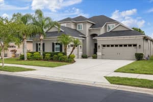 3142 STONEGATE FALLS DRIVE, LAND O LAKES, FL 34638 Sold 06/16/25