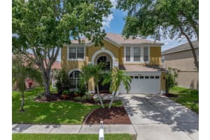 27231 LIRIOPE COURT, WESLEY CHAPEL, FL 33544 Sold 06/16/25