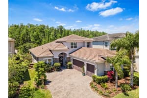31050 SPRUCEBERRY COURT, WESLEY CHAPEL, FL 33543 Sold 06/27/25