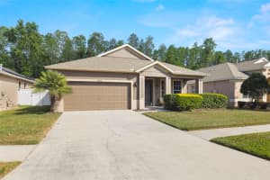 19528 SUNSET BAY DRIVE, LAND O LAKES, FL 34638 Sold 08/11/25