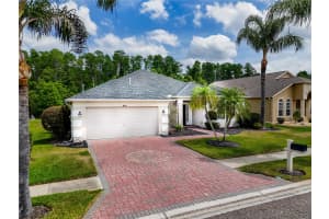 16113 RAMBLING ROAD, ODESSA, FL 33556 - MLS#MFRTB8378103
