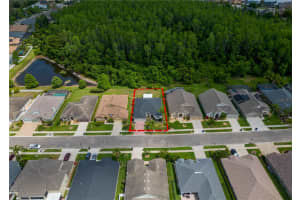 16113 RAMBLING ROAD, ODESSA, FL 33556 - MLS#MFRTB8378103