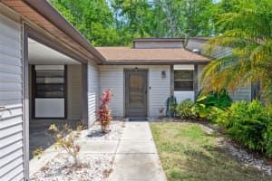 11536 BAYWOOD MEADOWS DRIVE, NEW PORT RICHEY, FL 34654 - MLS#MFRTB8378117