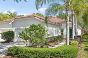 10260 Devonshire Lake Dr, TAMPA