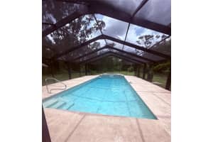 15808 WILLOWDALE ROAD, TAMPA, FL 33625 - MLS#MFRTB8378126