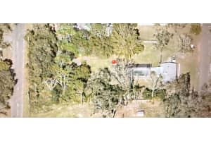 15808 WILLOWDALE ROAD, TAMPA, FL 33625 - MLS#MFRTB8378126