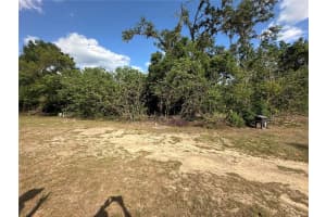 0 SHEILA LYNN COURT, DADE CITY, FL 33525 - MLS#MFRTB8378152