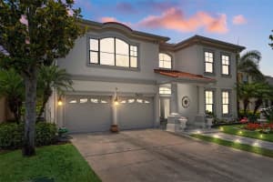 15630 N Himes Ave, TAMPA