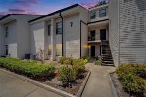 4709 Puritan Cir #702, TAMPA