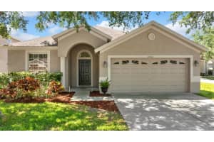 18816 NARIMORE DRIVE, LAND O LAKES, FL 34638 Sold 05/22/25