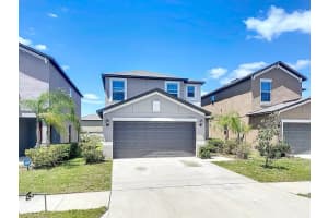 4456 GLOBE THISTLE DRIVE, TAMPA, FL 33619 Sold 08/01/25