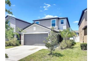 4456 GLOBE THISTLE DRIVE, TAMPA, FL 33619 Sold 08/01/25