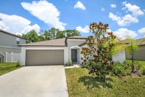 13419 Willow Bluestar Loop, RIVERVIEW