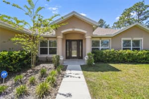 11165 LITTLE GULL ROAD, WEEKI WACHEE, FL 34614 - MLS#MFRTB8378545