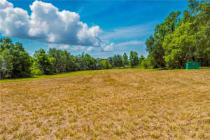 36730 OB WON WAY, DADE CITY, FL 33525 - MLS#MFRTB8378575