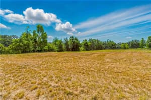 36730 OB WON WAY, DADE CITY, FL 33525 - MLS#MFRTB8378575