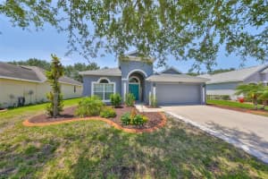 10727 ROCKLEDGE VIEW DRIVE, RIVERVIEW, FL 33579 Sold 06/06/25