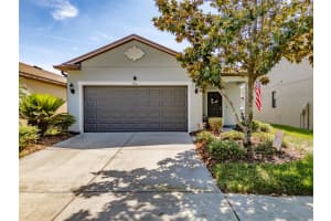 4516 Savannah Holly Pl, RIVERVIEW