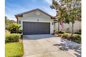 4516 SAVANNAH HOLLY PLACE, RIVERVIEW, FL 33578 - MLS#MFRTB8378593
