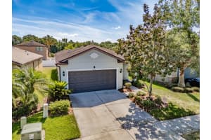 4516 SAVANNAH HOLLY PLACE, RIVERVIEW, FL 33578 - MLS#MFRTB8378593