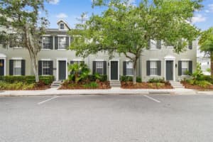 11541 Fountainhead Dr, TAMPA
