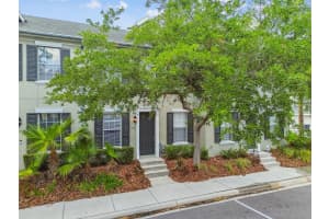 11541 FOUNTAINHEAD DRIVE, TAMPA, FL 33626 - MLS#MFRTB8378625