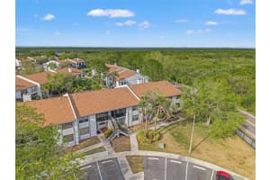 1930 LAUGHING GULL LANE, CLEARWATER, FL 33762 Sold 06/25/25