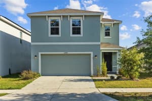10940 Trailing Vine Dr, TAMPA