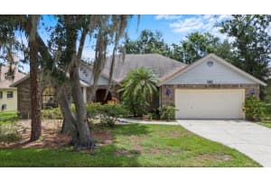 3808 HOLLOW WOOD DRIVE, VALRICO, FL 33594 - MLS#MFRTB8378656