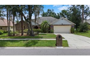 3808 HOLLOW WOOD DRIVE, VALRICO, FL 33594 - MLS#MFRTB8378656