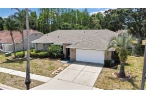 9730 REYNOSA DRIVE, NEW PORT RICHEY, FL 34655 Sold 06/16/25