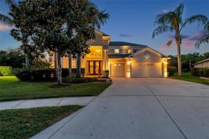 19055 LONE CREEK COURT, LAND O LAKES, FL 34638 Sold 06/02/25