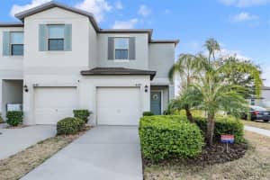 4550 Globe Thistle Dr, TAMPA